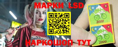 MDMA Гатчина
