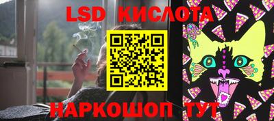 стафф Гай