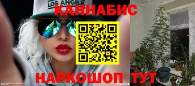 стафф Гай