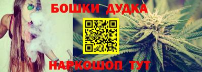 стафф Гай