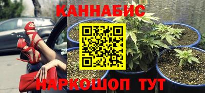 MDMA Гатчина