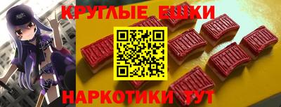 стафф Гай