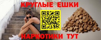 стафф Гай