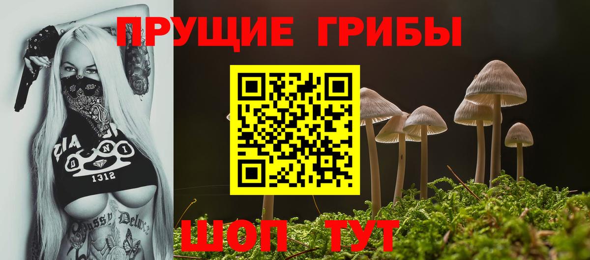 продажа наркотиков  Вход с VPN  Надым  Галлюциногенные грибы MAGIC MUSHROOMS 